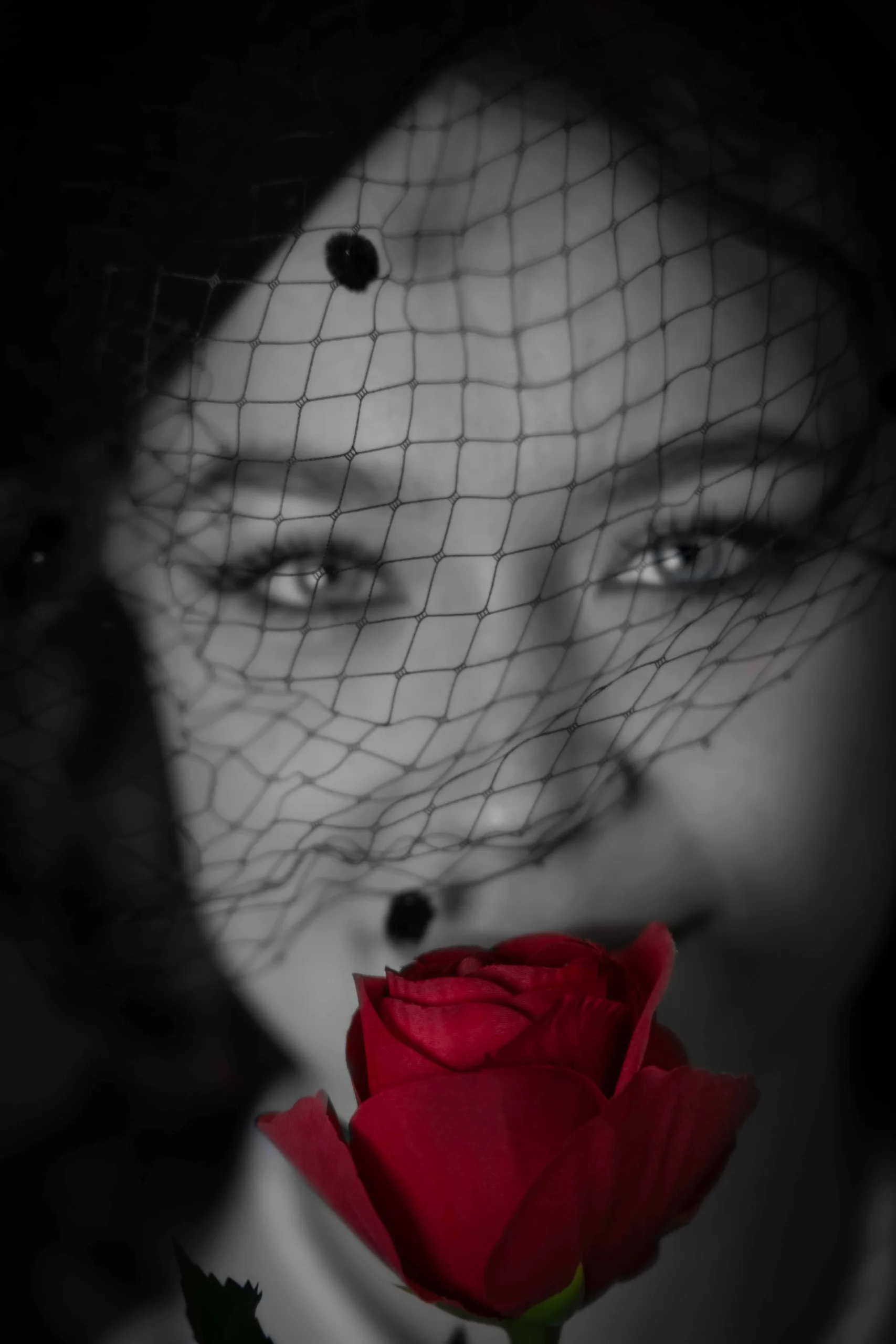 art01669